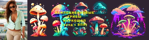 хмурый Вяземский