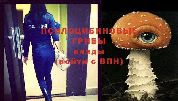 амф Вязьма