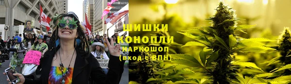 амф Вязьма