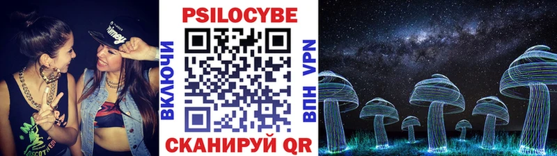 Псилоцибиновые грибы прущие грибы  Пятигорск 